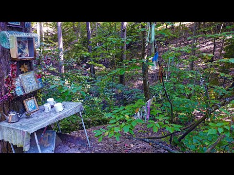 Видео: Бездонная яма в Рязанской области! Страшное место в лесу!