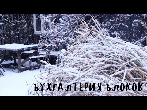 Видео: бухгалтерия блоков в природных посадках