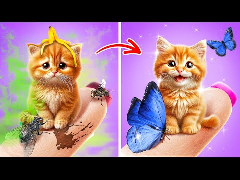 Видео: Мой Тайный Домашний Животный Дом! Прячу Известного на TikTok Кота от Мамы 😱