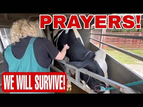 Видео: Визит ветеринара для OREO