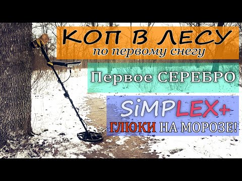 Видео: Коп монет с Nokta Simplex  Первое СЕРЕБРО  коп находки в лесу