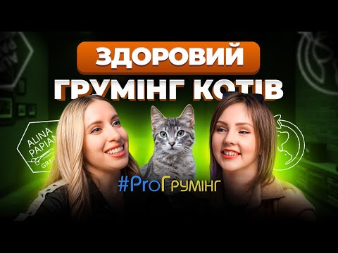 Видео: Фелінолог про здоровий грумінг котів, психологію стресу, агресію та правильне поводження з котиками