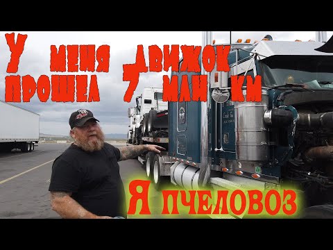 Видео: Дальнобойщики в США обнищали  до нитки