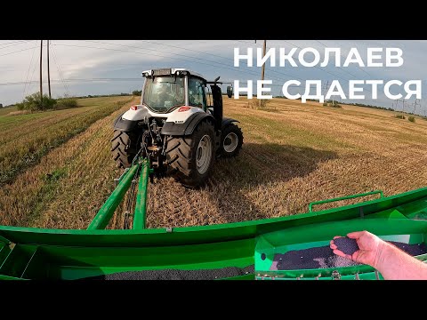 Видео: Снова вышли в поле. Сеем рапс, протравливаем семена пшеницы. Рассуждаем о Николаеве