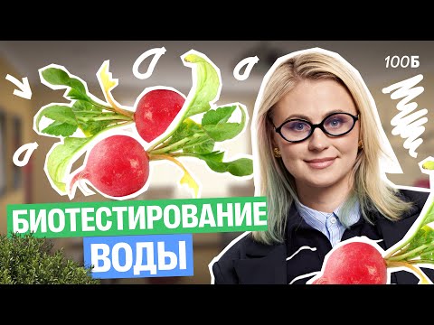 Видео: Биотестирование воды | Ксения Напольская