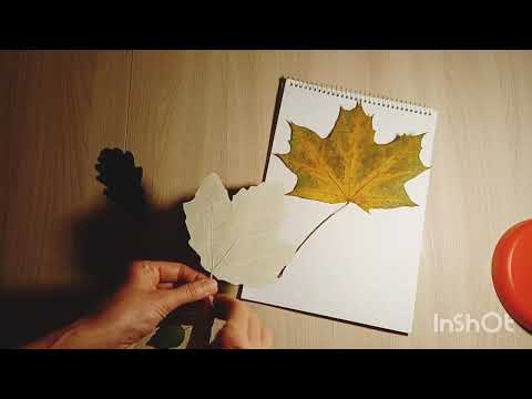 Видео: Гербарий "Осенние композиции"