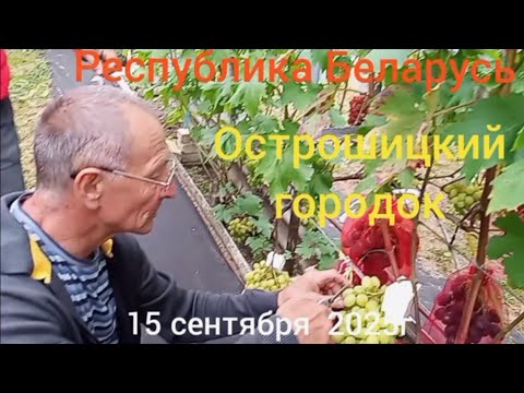 Видео: В гостях у Семьи Карась- республика Беларусь Острошицкий городок.