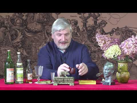 Видео: Ленинский обзор. С.В. Савельев. "Пироги Мухи"
