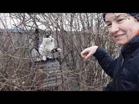 Видео: Навкруги Ведра (озера 😂)@bukovel_oleg