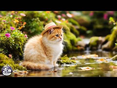 Видео: Успокаивающая музыка для кошек, испытывающих тревогу 🐾🎵 Успокаивающие звуки для глубокого сна, ле...
