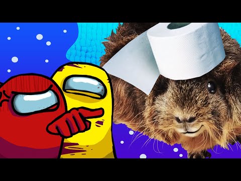 Видео: AMONG US НО МЫ ПРЕДАТЕЛИ! ПИТОМЦЫ В АМОНГ АС ИГРАЮТ ЗА ПРЕДАТЕЛЕЙ | СВИНКА БУЗЯ