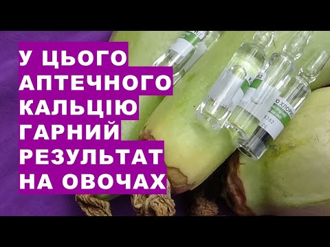 Видео: Ось цей аптечний препарат замінює в підживленні кабачків, помідорів добриво кальцію