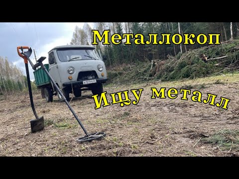 Видео: Металлокоп 2025. Выезд за металлом.