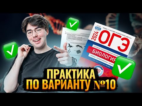 Видео: Разбор варианта 10 из сборника ФИПИ Рохлова | ОГЭ биология | Умскул