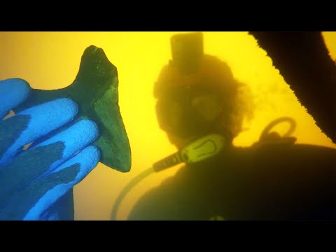 Видео: Эта река полна ОГРОМНЫХ зубов мегалодона