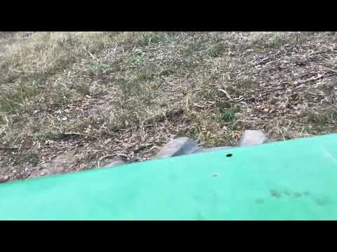 Видео: Просекаю противопожарные полосы вдоль дороги. Может, я параноик?