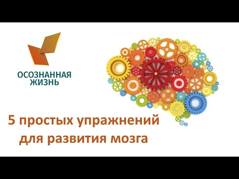 Видео: 5 простых упражнений для развития мозга