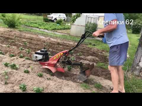 Видео: Первое окучивание картофеля легким культиватором.