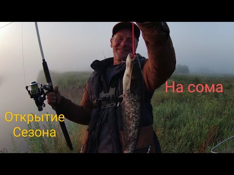 Видео: Открытие сезона на сома. Рыбалка в Беларуси. Река Свислочь.