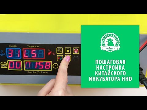 Видео: Настройка китайского инкубатора HHD на 48 яиц. Инкубация куриных яиц. Инкубация перепелиных яиц.