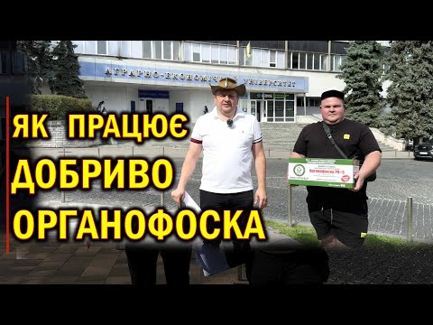 Видео: ВОЛОГИ НЕ МАЄ- ЯКЕ ДОБРИВО ДАТИ ПРИ ПОСІВІ СУХЕ НПК ЧИ ОРГАНІЧНЕ МІНЕРАЛЬНЕ ОРГАНОФОСКА ?