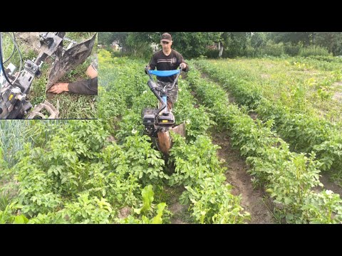 Видео: От такого окучивания я теперь балдею