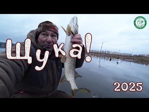 Видео: ПЕРВЫЙ ЛЁД 2025! ЩУКА НА ЖЕРЛИЦЫ, РЕАКЦИЯ ЩУКИ НА ЖИВЦА, ПОДВОДНЫЕ СЪЁМКИ, РЫБАЛКА У ДОМА НА УРАЛЕ!