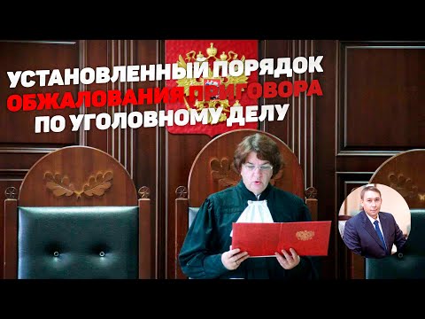 Видео: Порядок обжалования приговора суда первой инстанции