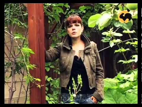 Видео: Розы в Саду. серия 12. Плетистые розы 2