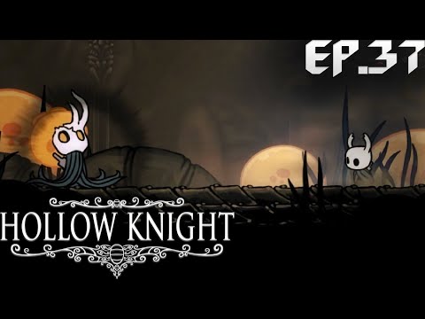 Видео: И СНОВА НОВЫЕ ВОЗМОЖНОСТИ. HOLLOW KNIGHT. ЭПИЗОД#37