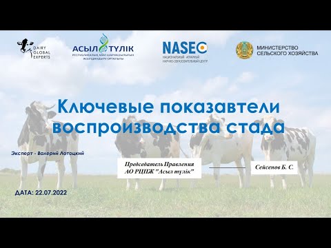 Видео: Ключевые показатели воспроизводства стада