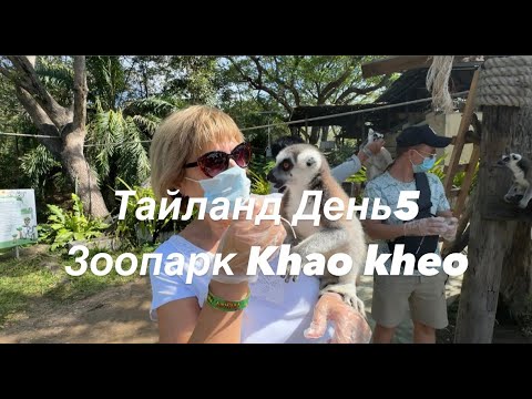 Видео: Тайланд  День 5 || Зоопарк Кхао Кхео
