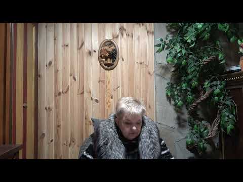 Видео: НАСТРОЕНИЕ ДНЯ ОТ МАЭСТРО МАЖОР С 1 НОЯБРЯ ПО 9 НОЯБРЯ 2025