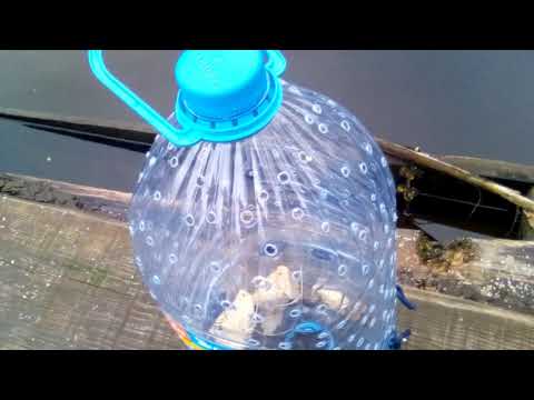 Видео: Ловушка для малька. Проверил как работает ловушка (мордушка) для рыбы!