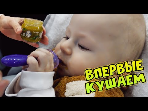 Видео: Первый ПРИКОРМ