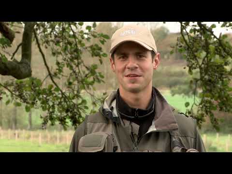 Видео: Реката на сухата муха - част 1 / Fly fishing on the the river Test - part 1