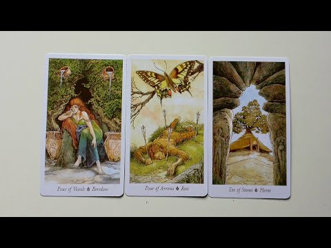 Видео: ЛЕВ ♌️ ВАШИ СЛЕДУЮЩИЕ 48 ЧАСОВ