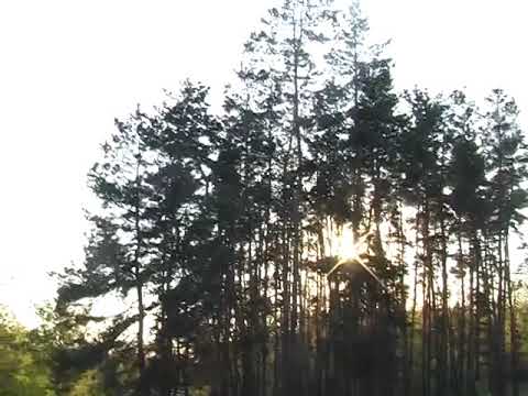Видео: История села Хреновое 🌲🌳