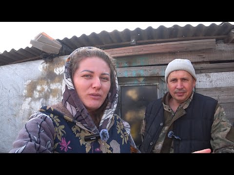Видео: 🇰🇿 Как живут люди в Казахстане 🥶 Подготовка к морозам. Деревенская жизнь
