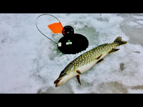 Видео: Рыбалка на озере с сыном,в Калужской области! Установка жерлиц.