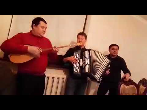 Видео: Арқалықтың ақ таңы👍👍👍