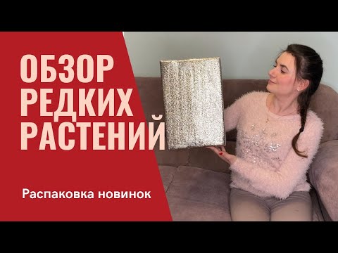 Видео: Обзор коллекции Редких растений. Посылка с новинками. Распаковка