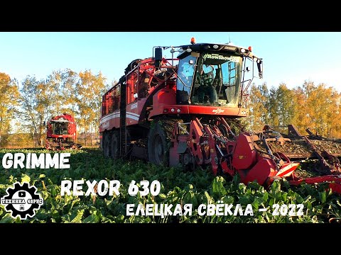 Видео: Свеклоуборочные комбайны Grimme Rexor 630 в деле. Уборка сахарной свёклы в Елецком районе