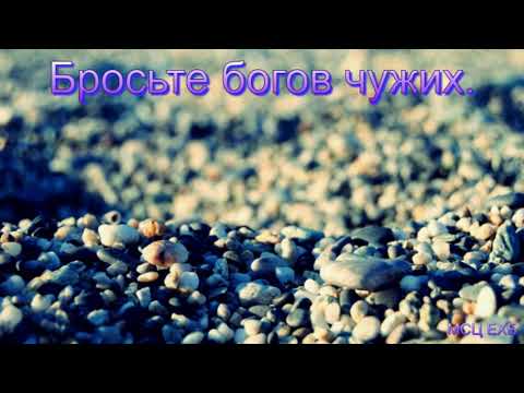 Видео: "Бросьте богов чужих". Я. Я. Янц. Беседа. МСЦ ЕХБ.