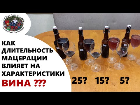 Видео: Как длительность мацерации влияет на характеристики вина #ТриЭкоВиноделие