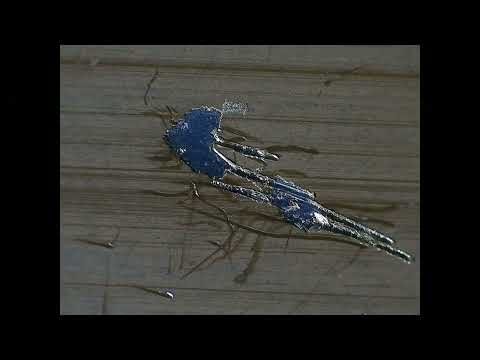 Видео: Лента под микроскопом на малом увеличении