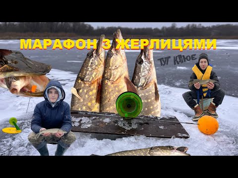 Видео: МАРАФОН З ЖЕРЛИЦЯМИ🔥 РИБАЛКА В ЗАКИНУТОМУ МІСЦІ🇺🇦 , САМОРОБНІ ЖЕРЛИЦІ, ЛОВИМО НА СВАЛІ ЩУКУ