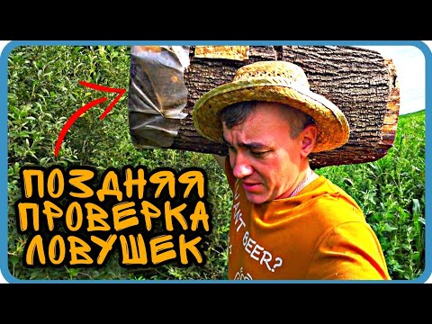 Видео: ПОЗДНЯЯ ПРОВЕРКА ЛОВУШЕК В ЛИПОВОЙ РОЩЕ. Я ОЧЕНЬ УДИВЛЁН " КАК ТАК ???"...