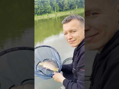 Видео: Рыбалка мечты! Отдых с семьёй на лесном озере