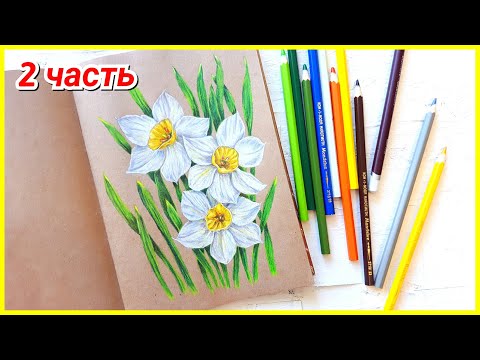 Видео: Листья нарцисса: рисуем и раскрашиваем цветными карандашами! 2 часть